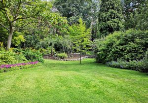 Optimiser l'expérience du jardin à Montigny-les-Vesoul